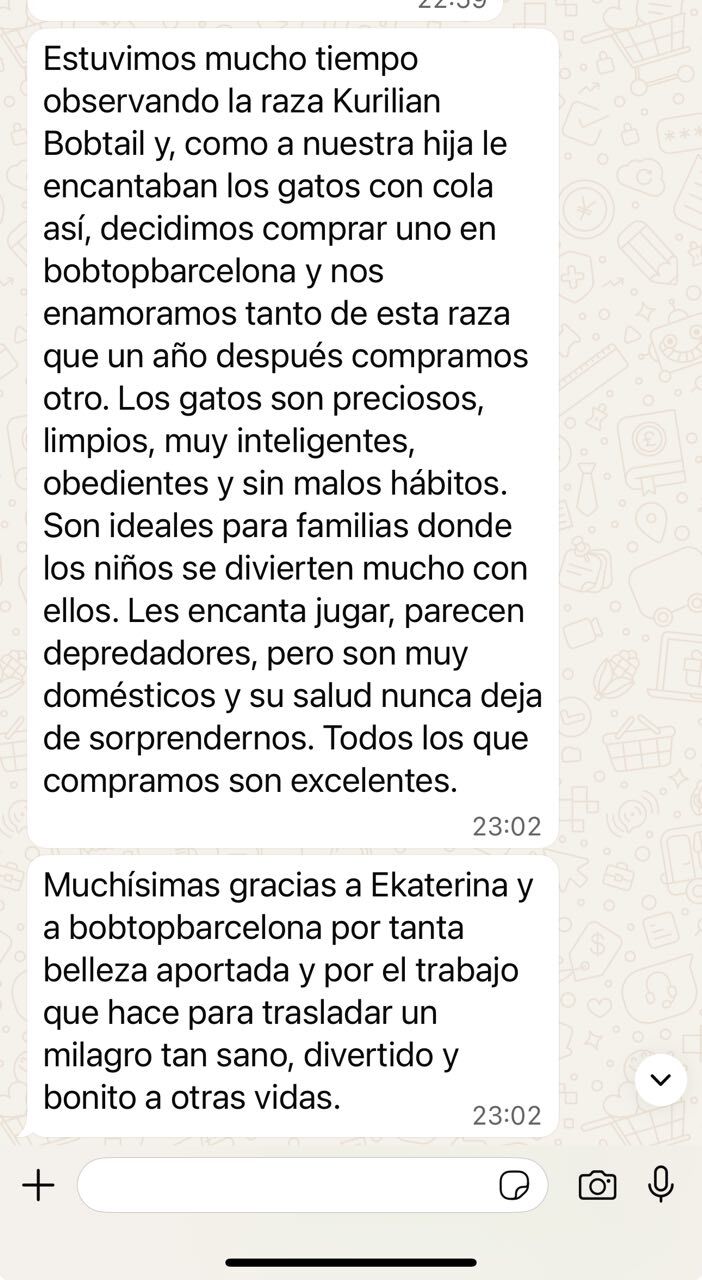 Reseña de una familia BobTop 2