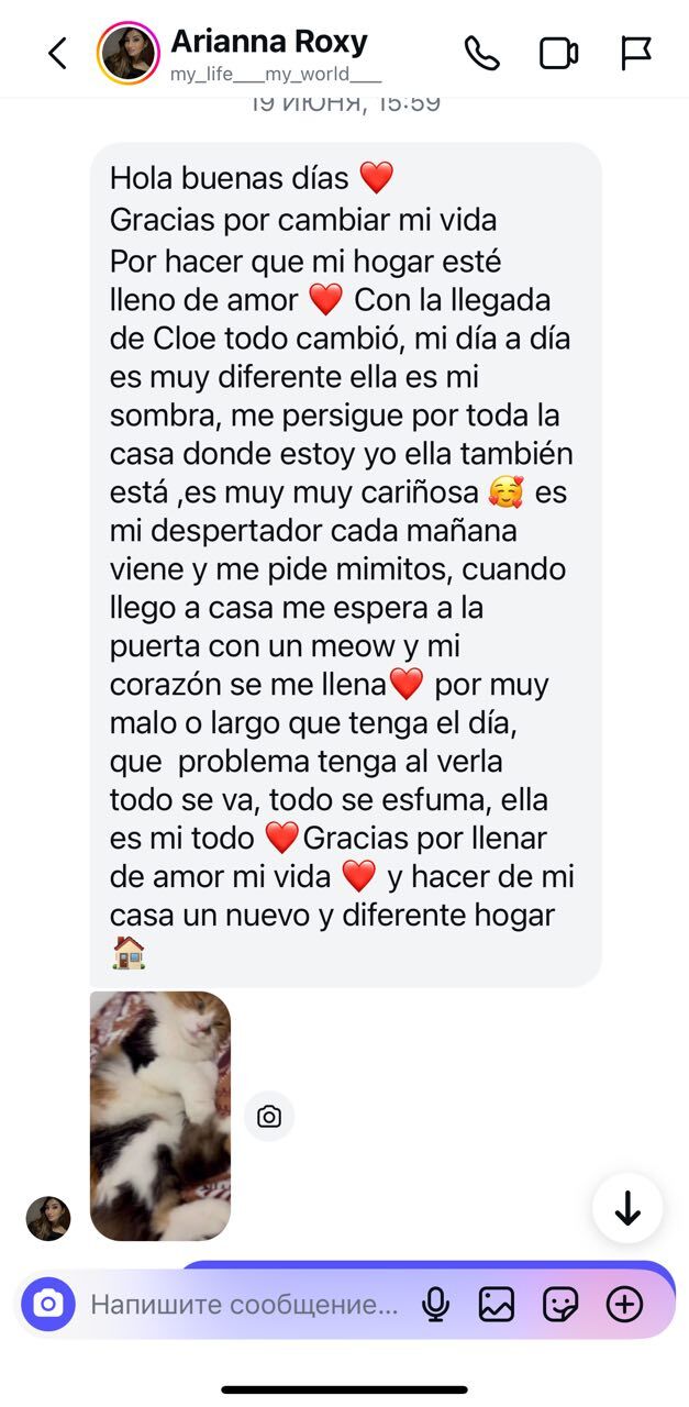 Reseña de una familia BobTop 9