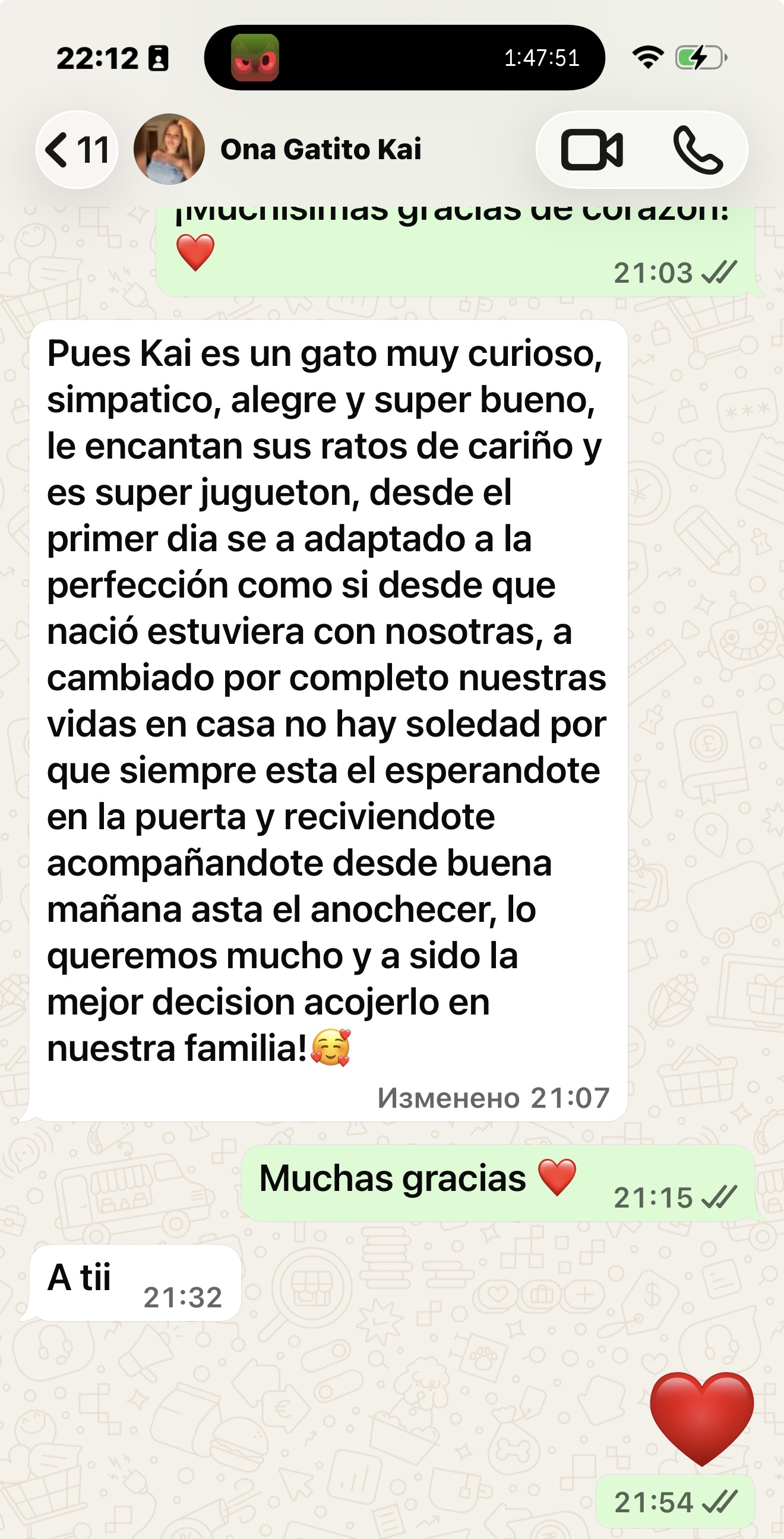 Reseña de una familia BobTop 10