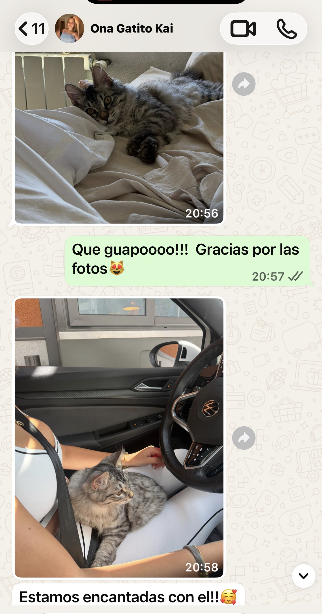 Reseña de una familia BobTop 11